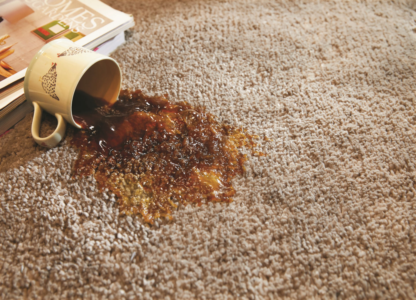 Waschbarer, zotteliger, weicher, flauschiger, rutschfester Teppich in Steinbeige von My Lux