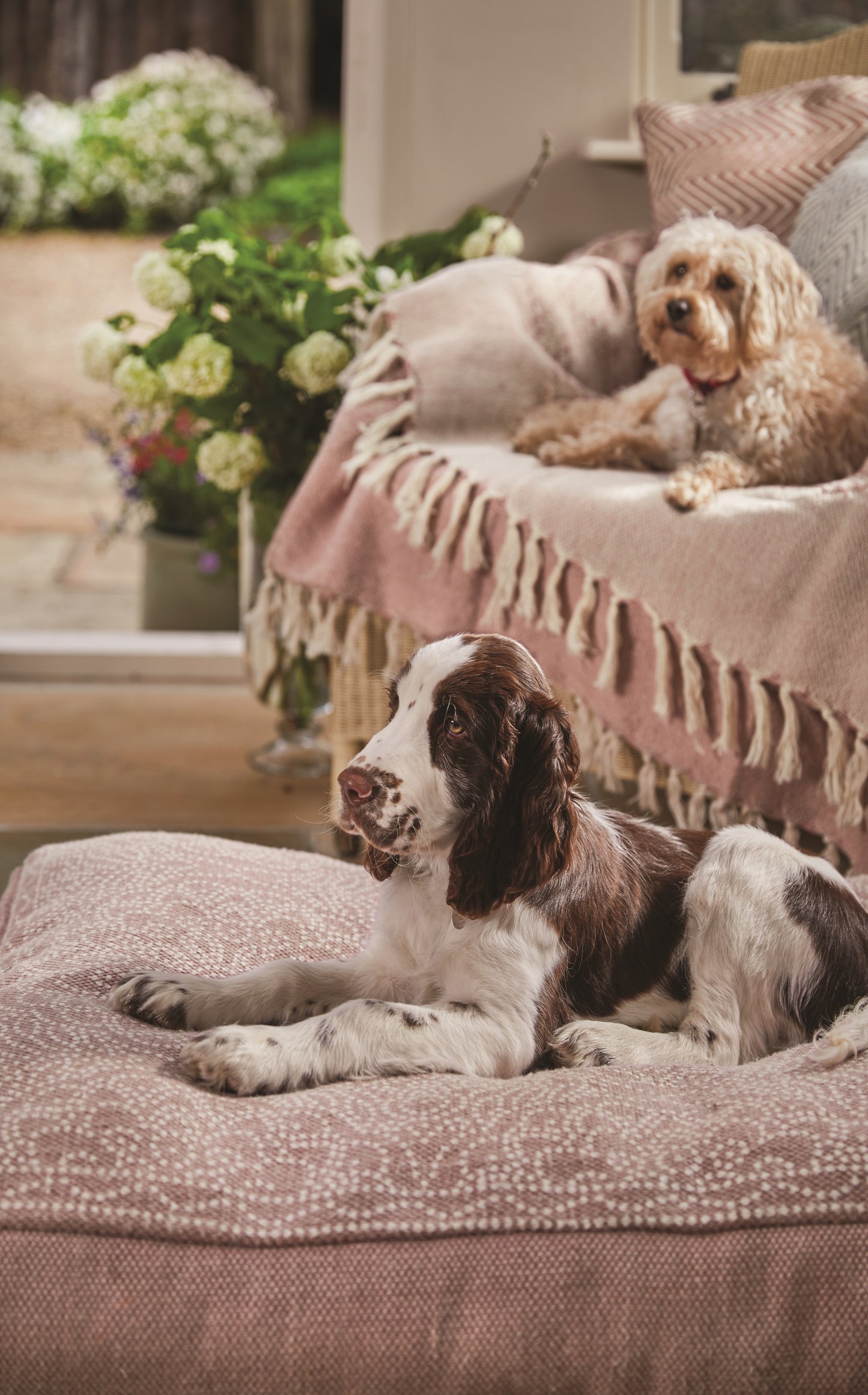 Hug Rug Woven Dog Bed Dot Floral Rose