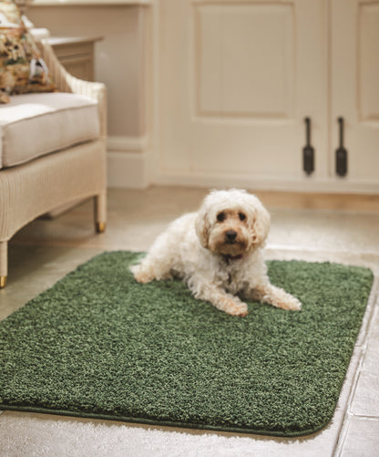 My Washable Shaggy Non-slip Rug in Forest Green